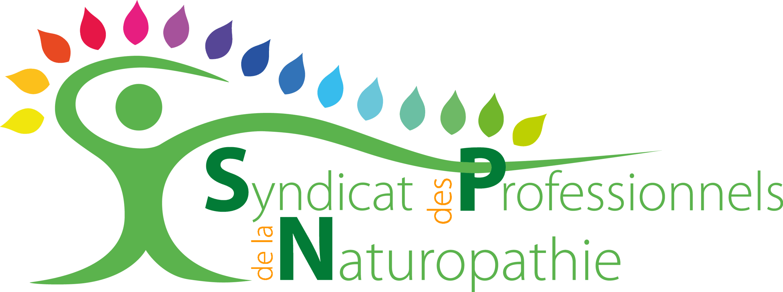 logo SPN